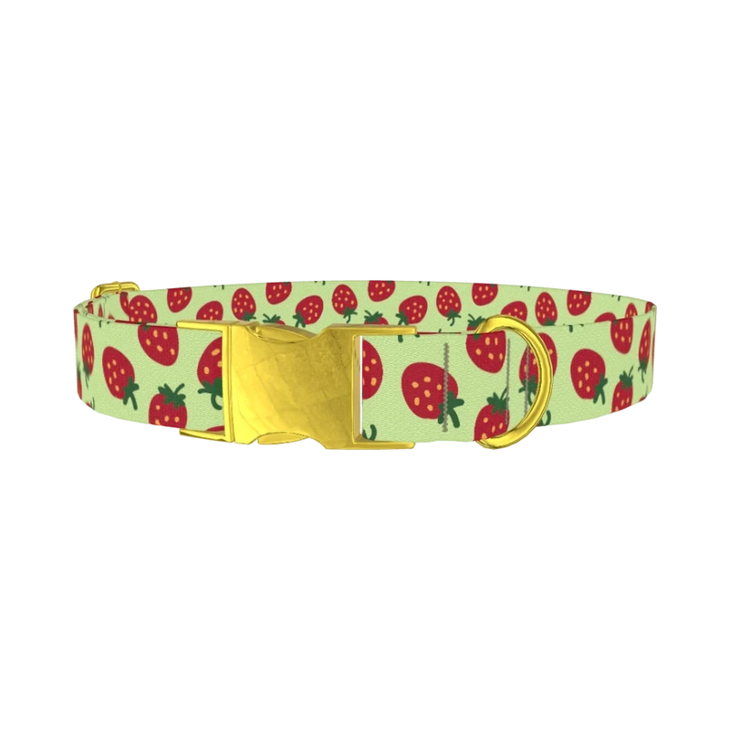 Strawberry Pattern Dog Collar - metal gold