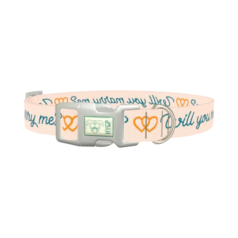 Phrase Heart Dog Collar - plastic silver