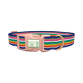 Rainbow Stripes Dog Collar - plastic rose gold
