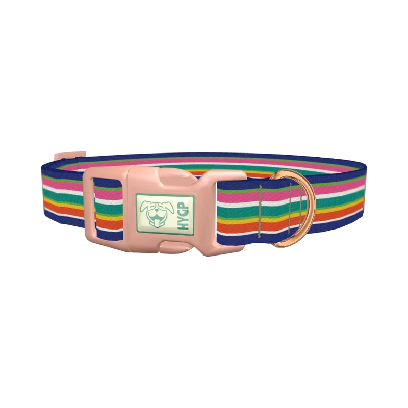Rainbow Stripes Dog Collar - plastic rose gold