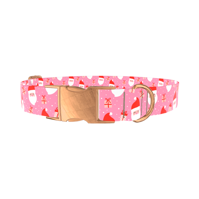 Christmas Santa Dog Collar - metal silver