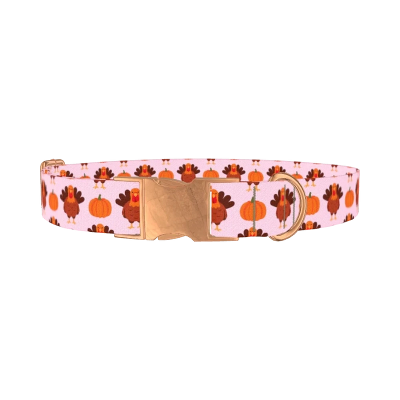 Turkey Pumpkin Pattern Dog Collar - metal rose gold