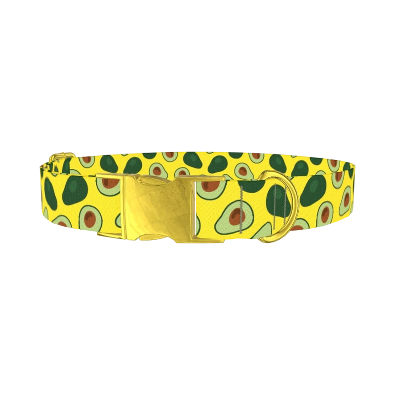 Avocado Fruit Dog Collar - metal gold
