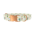 Sunny Cactus Dog Collar - metal silver