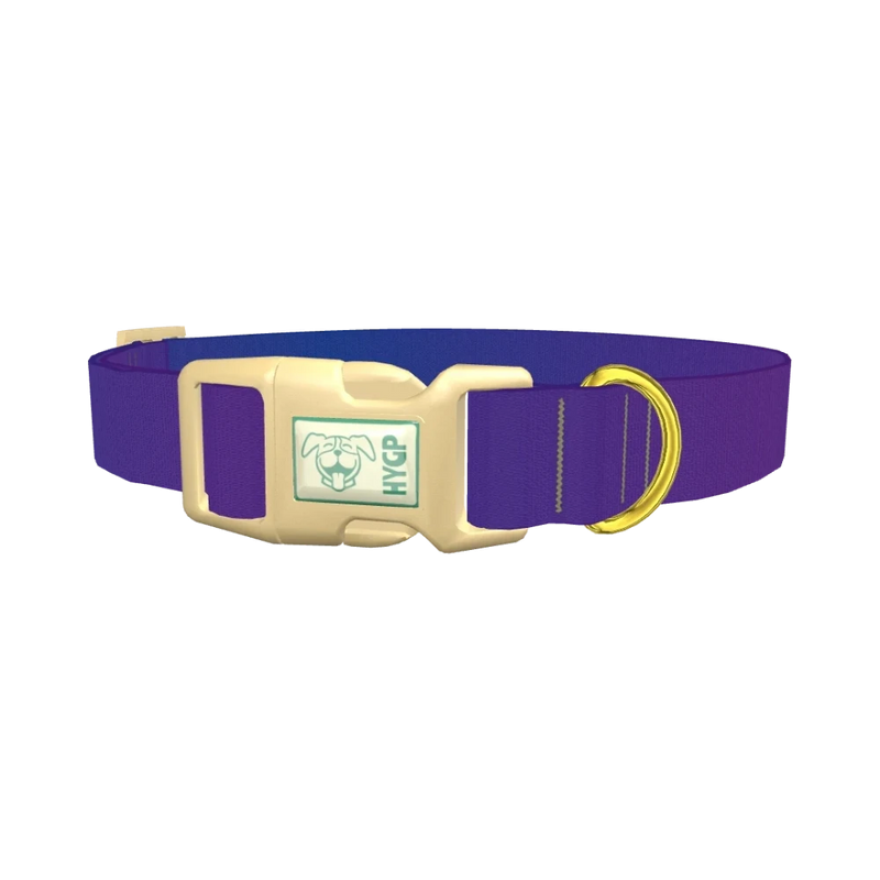 Blue Purple Gradient Dog Collar - plastic gold