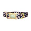Sugar Skull Dog Collar - plastic gold