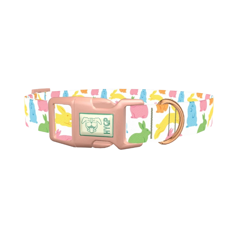 Colorful Easter Bunny Dog Collar - plastic rose gold