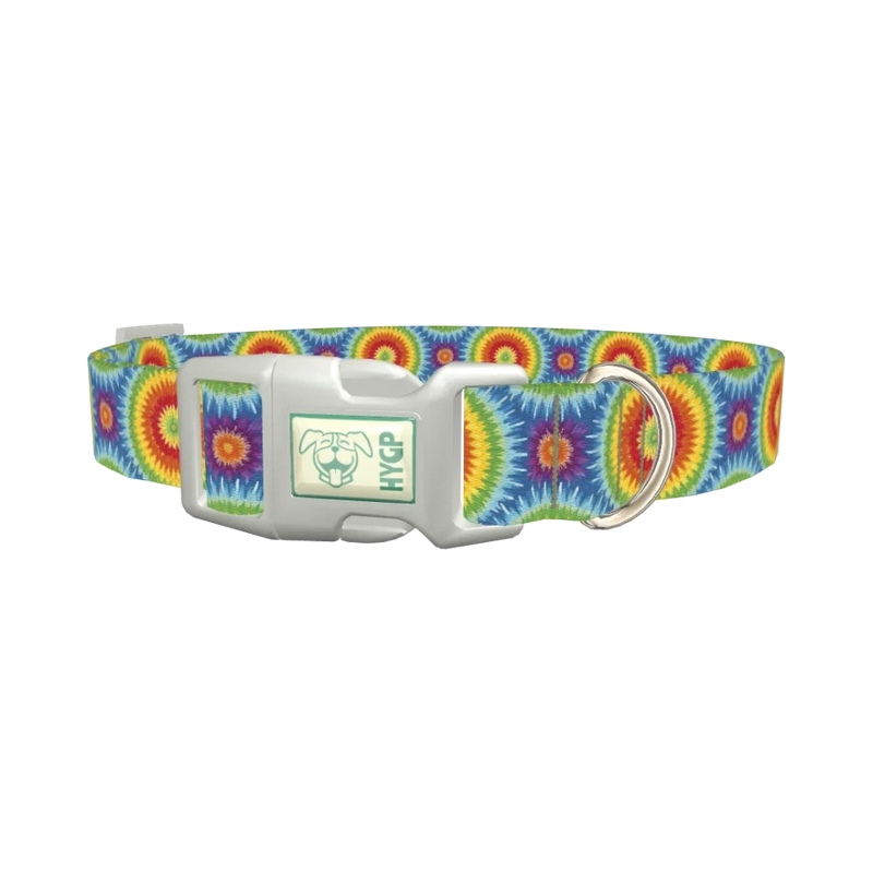 Rainbow Burst Dog Collar - plastic silver