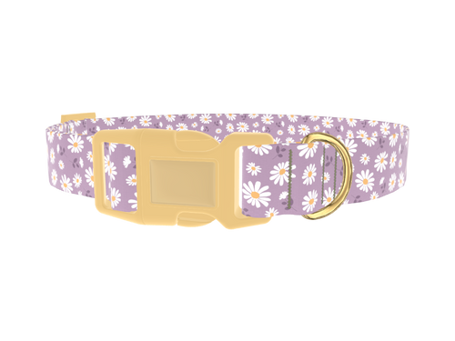 Lavender Daisy Pattern Dog Collar