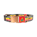 Key West Landmark Dog Collar - metal gold