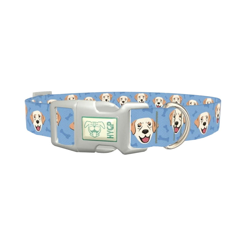 Labrador Dog Collar - plastic silver