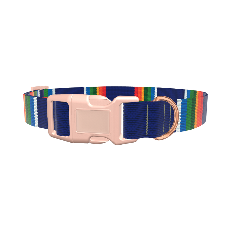 Woven Rainbow Stripe Dog Collar - plastic gold