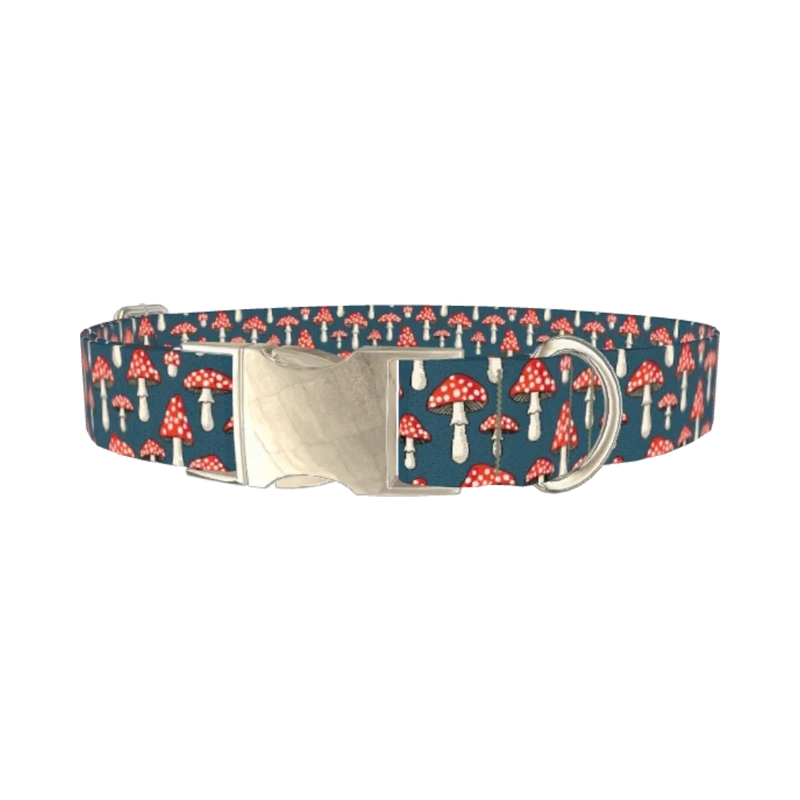 Halloween Mushroom Dog Collar - metal silver
