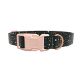Space Star Dog Collar - plastic silver