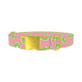 Pink Citrus Dog Collar - metal gold