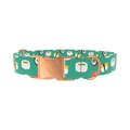 Teal Sushi Roll Dog Collar - metal rose gold