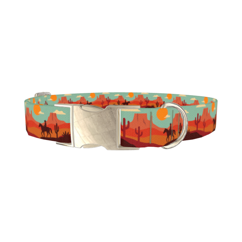 Southwest Desert Dog Collar - metal silver