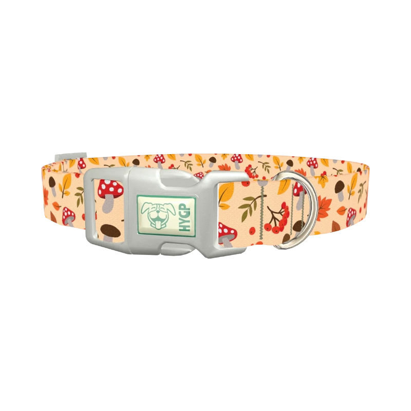 Autumn Leaves and Mushrooms Dog Collar - plastic silver