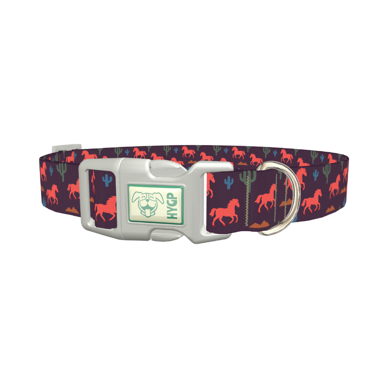 Western Desert Dog Collar - plastic silver