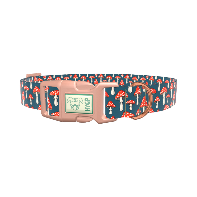 Halloween Mushroom Dog Collar - plastic gold