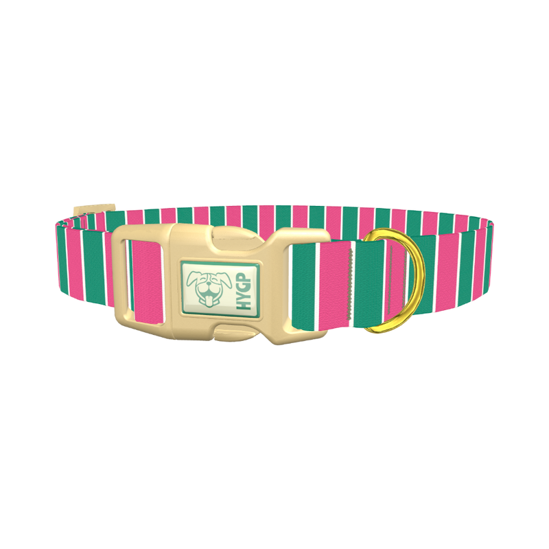 Pink and Green Stripe Dog Collar - plastic gold