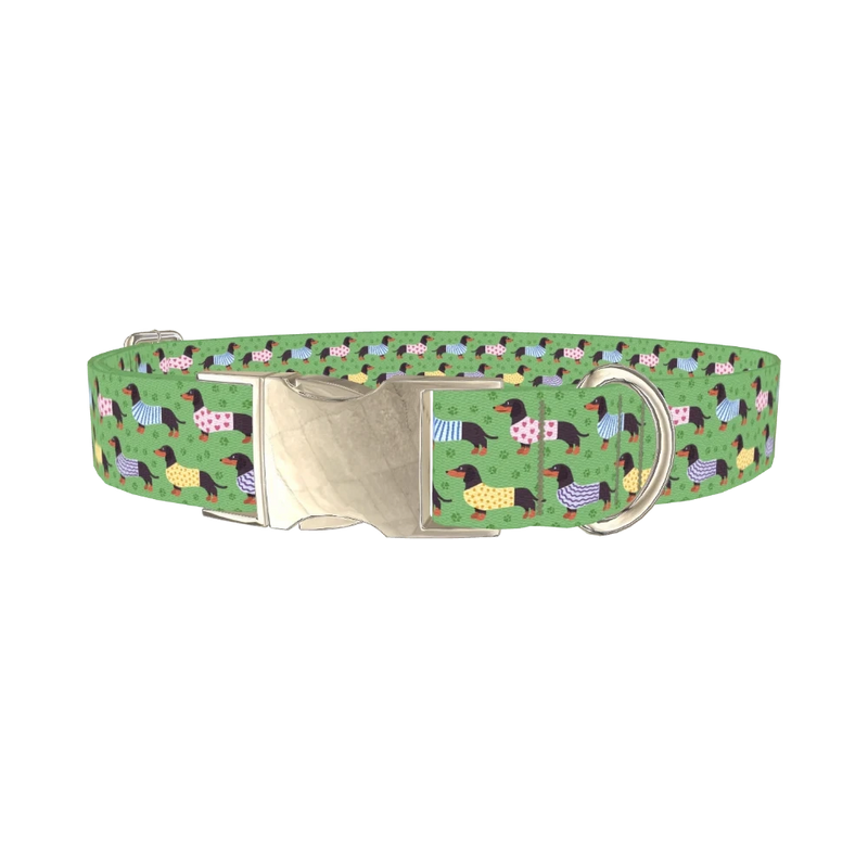 Green Dachshund Sweater Dog Collar - metal silver