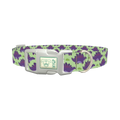 Purple Stegosaurus Dog Collar - plastic silver