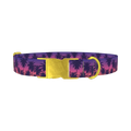 Tropical Sunset Dog Collar - metal gold