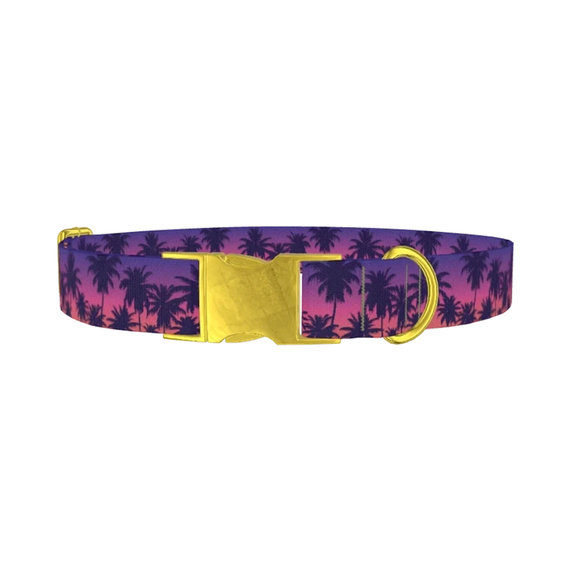 Tropical Sunset Dog Collar - metal gold