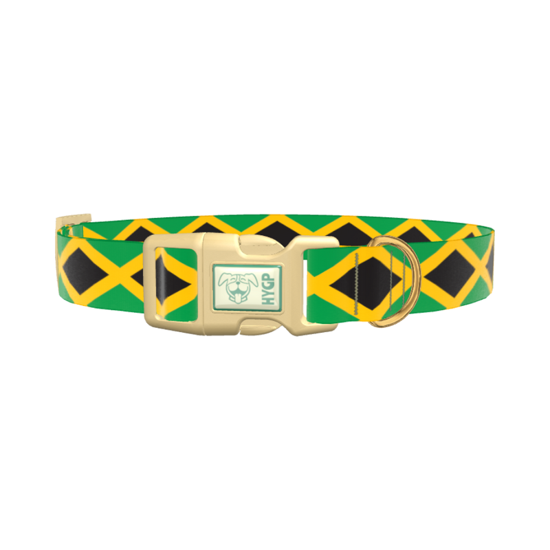 Jamaican Flag Dog Collar - plastic silver