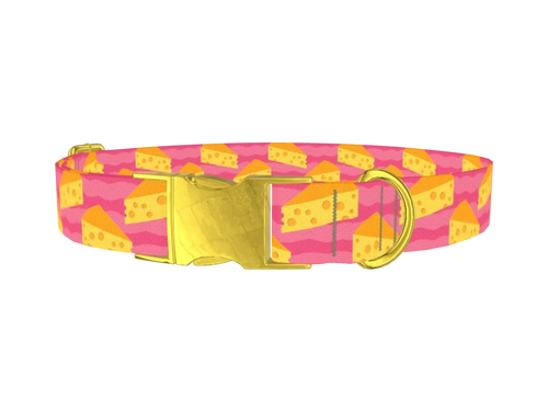 FOOD32_Cheese32