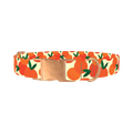 Fruit Orange Dog Collar - metal rose gold