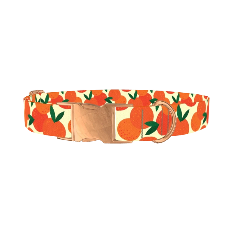Fruit Orange Dog Collar - metal rose gold