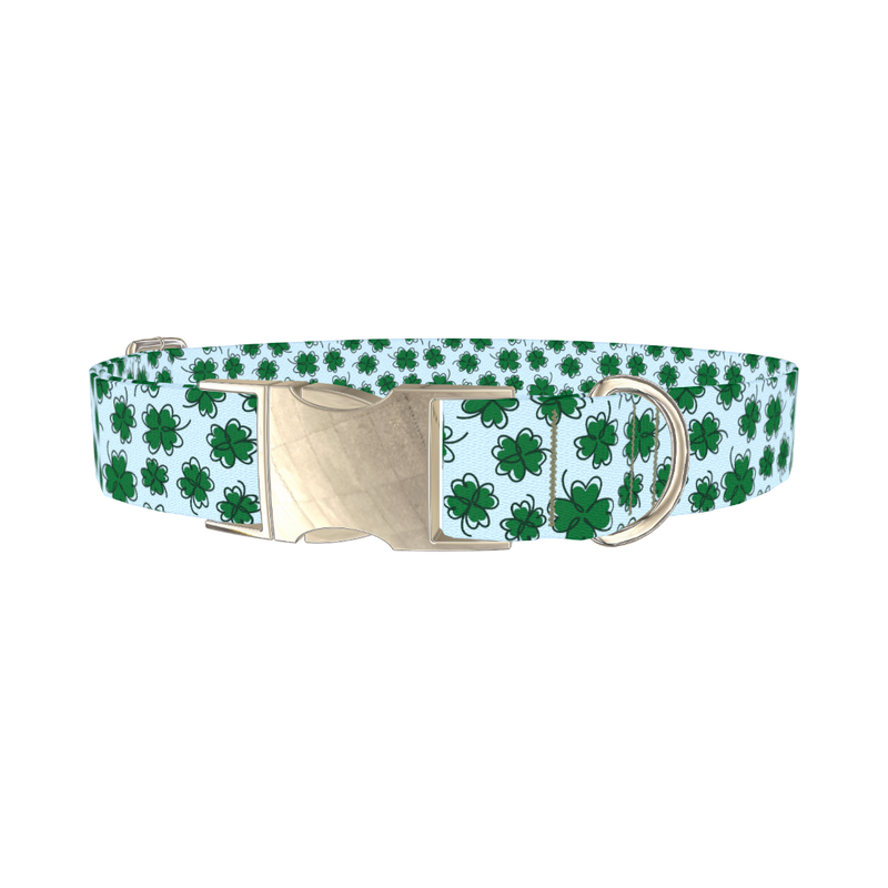 Blue Clover Pattern Dog Collar - metal silver