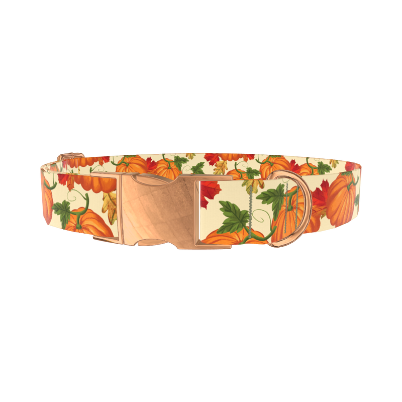 Autumn Pumpkin Dog Collar - metal rose gold