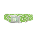 Green Daisy Pattern Dog Collar - plastic silver