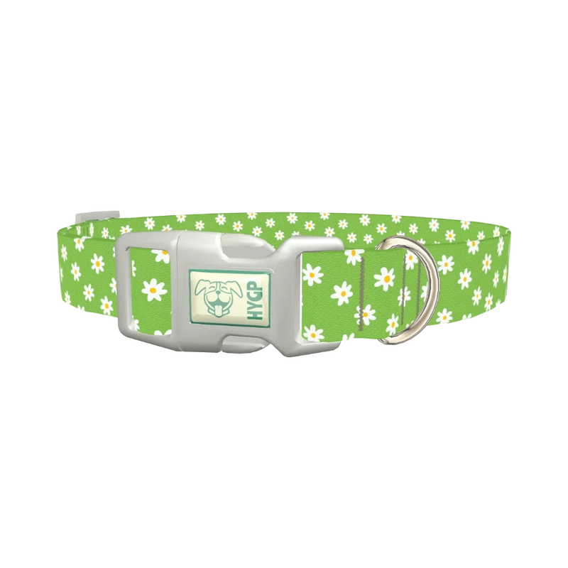 Green Daisy Pattern Dog Collar - plastic silver