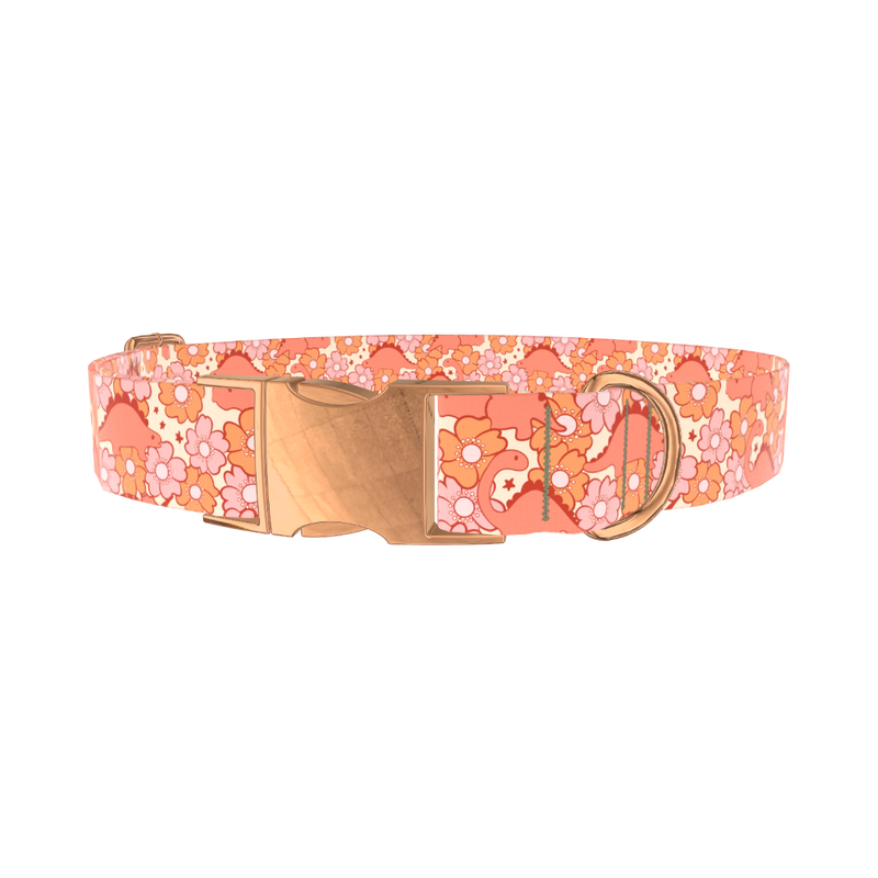 Floral Dinosaur Dog Collar - metal rose gold