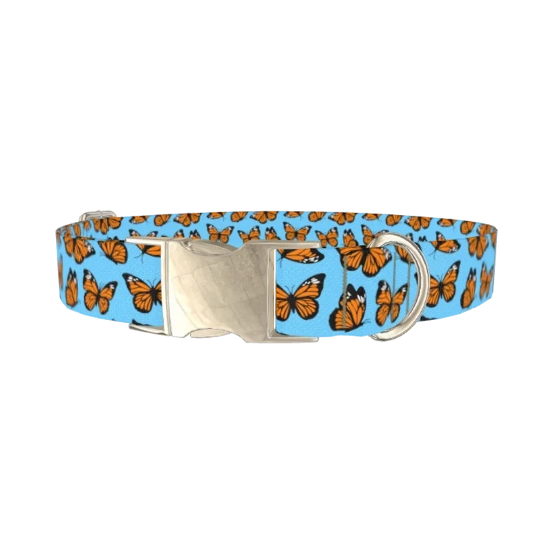 Monarch Butterfly Dog Collar - metal silver