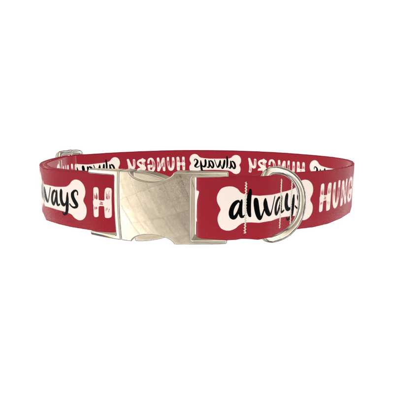 Always Hungry Dog Collar