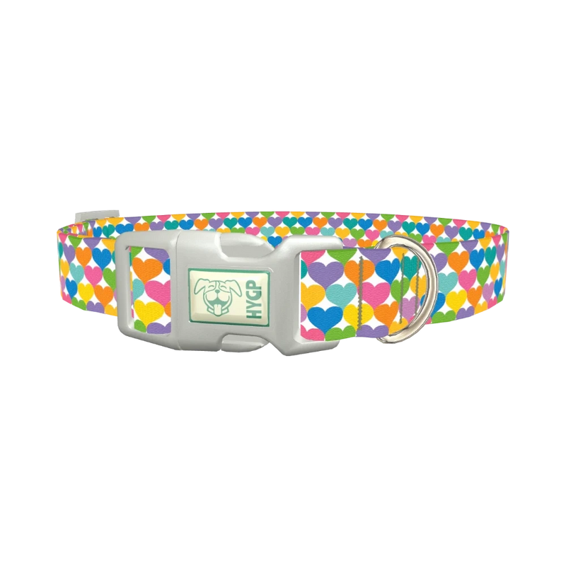 Colorful Heart Dog Collar - plastic silver