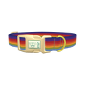 Rainbow Hexagon Dog Collar - plastic gold