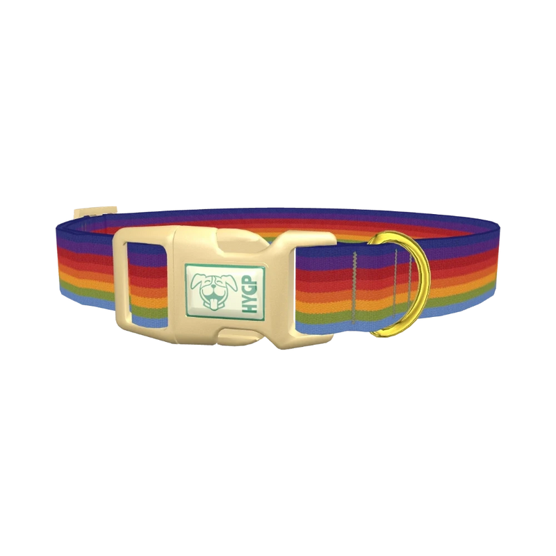 Rainbow Hexagon Dog Collar - plastic gold