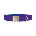 Blue Purple Gradient Dog Collar - metal silver