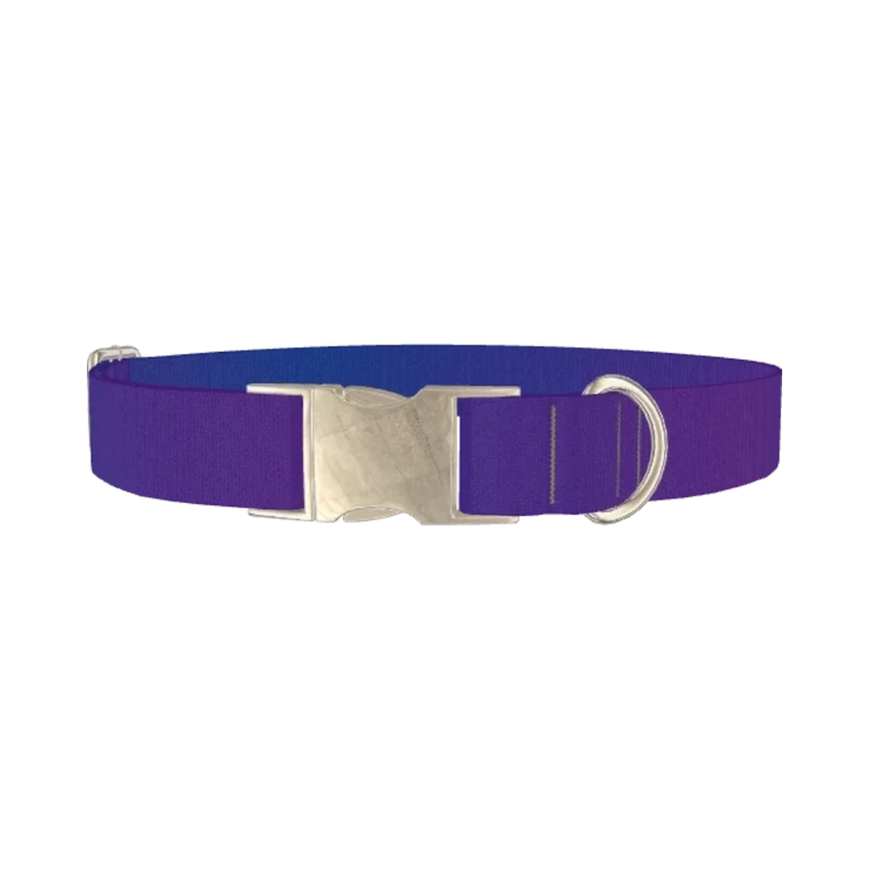 Blue Purple Gradient Dog Collar - metal silver