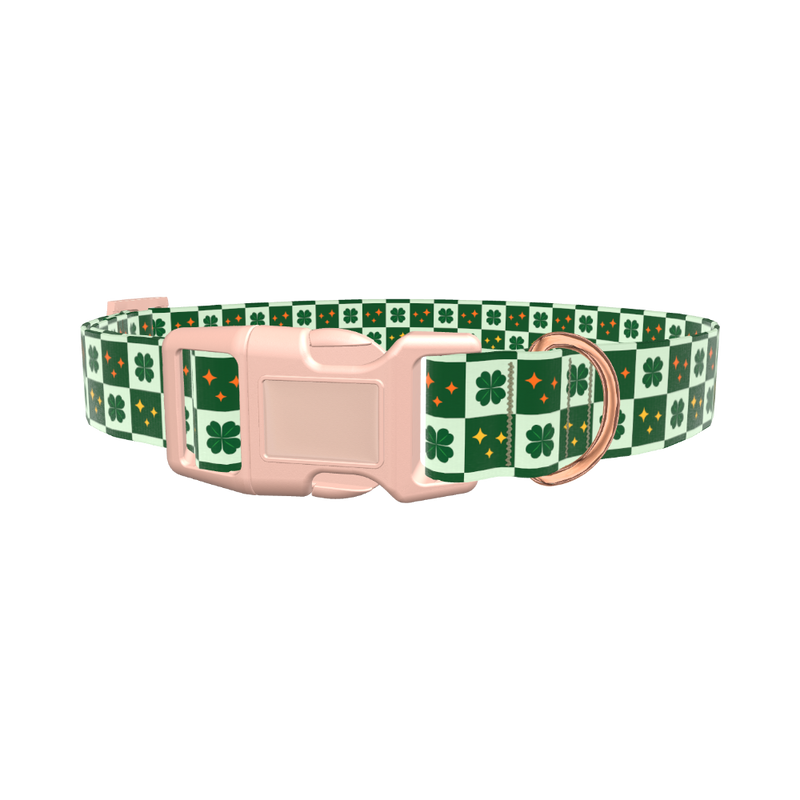 Clover Star Dog Collar - plastic gold