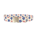 Striped Stars Dog Collar - metal silver