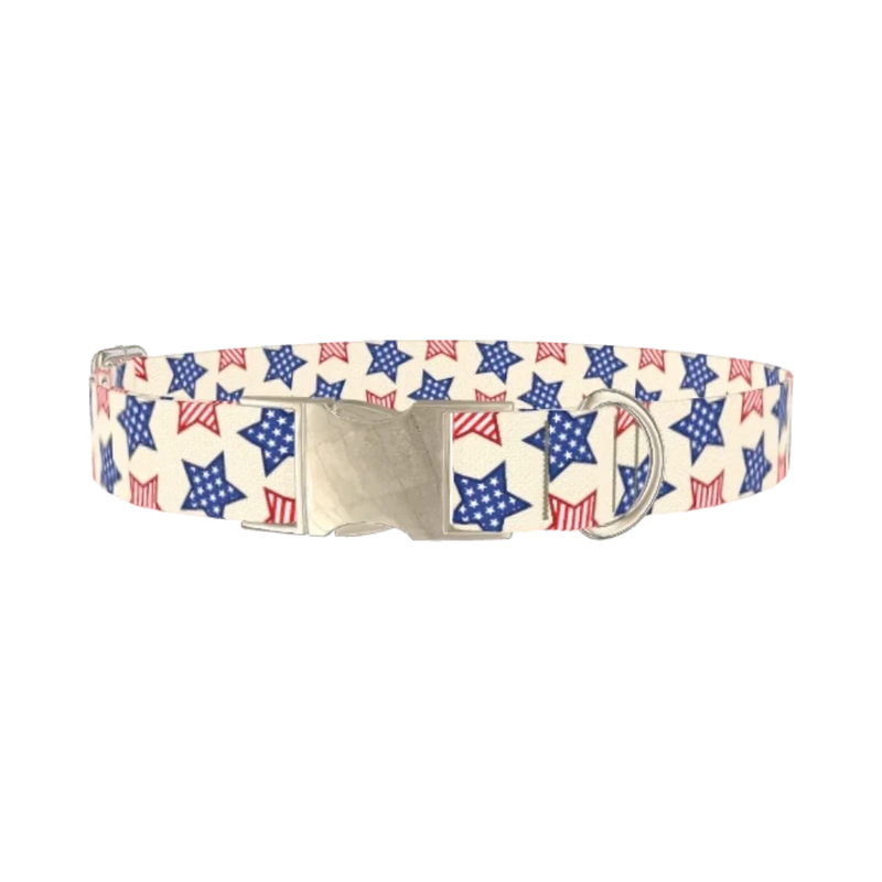 Striped Stars Dog Collar - metal silver