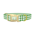 Green Plaid Dog Collar - plastic gold