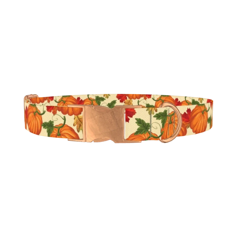 Autumn Pumpkin Dog Collar - metal rose gold
